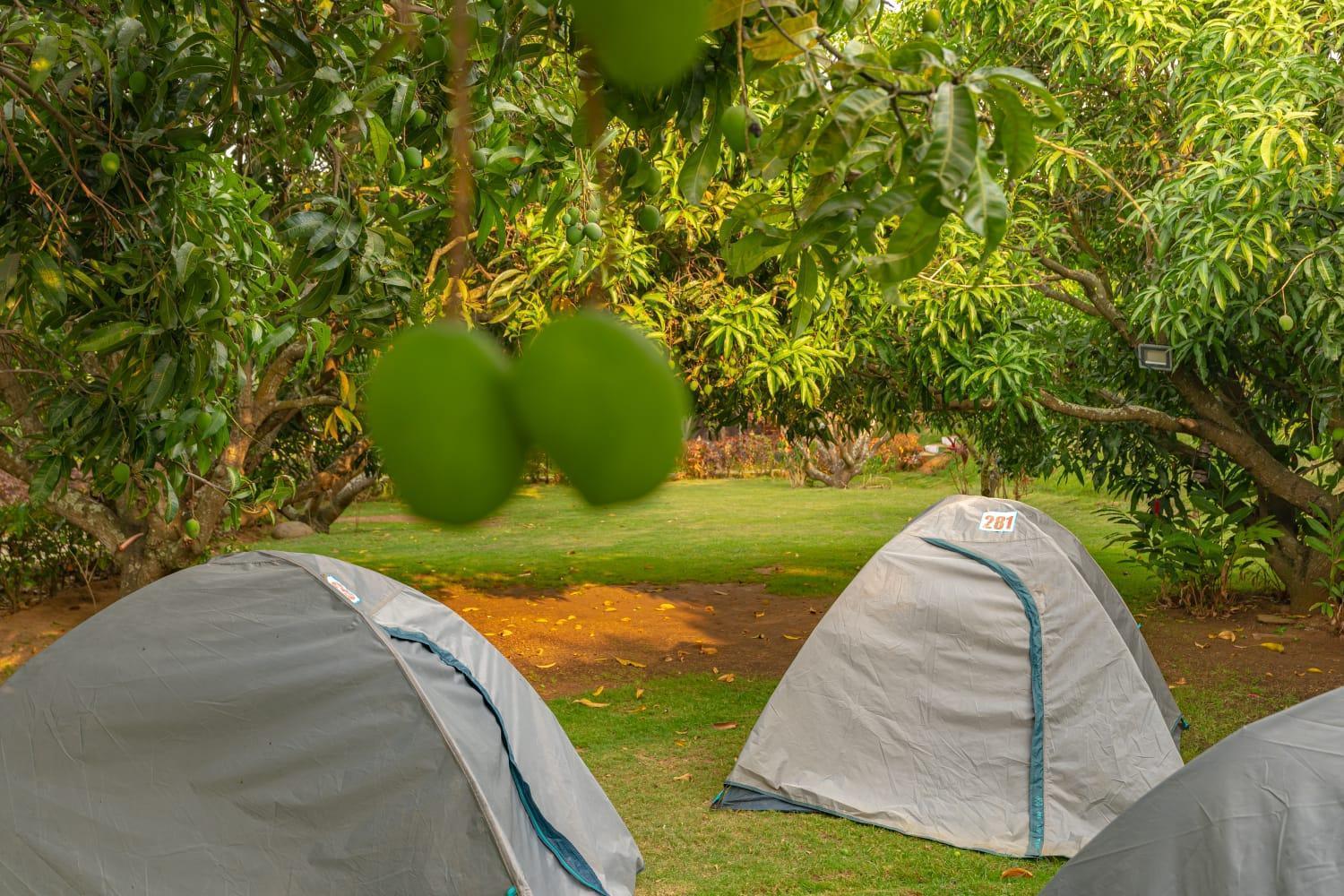Q Mango Resort Rāmanagaram Zewnętrze zdjęcie